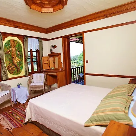 Tuerk Evi 4* داتْشا