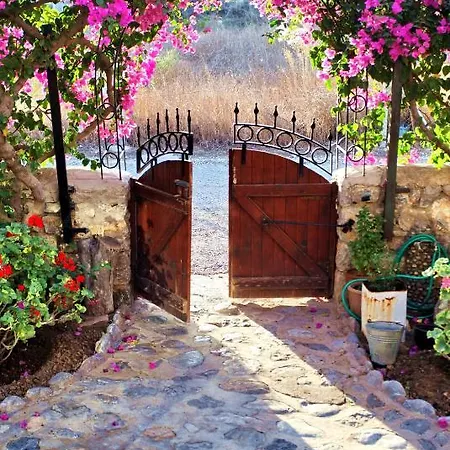 Tuerk Evi داتْشا