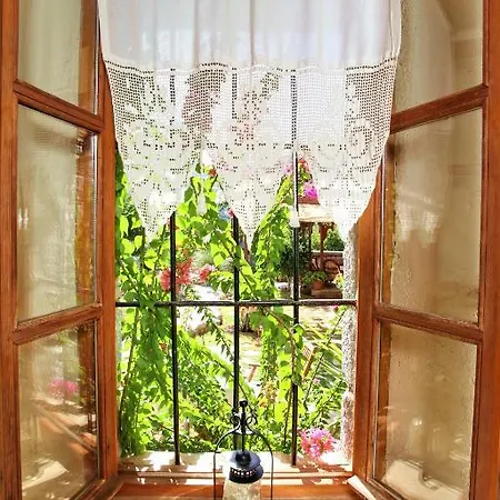 Tuerk Evi Отель 4*