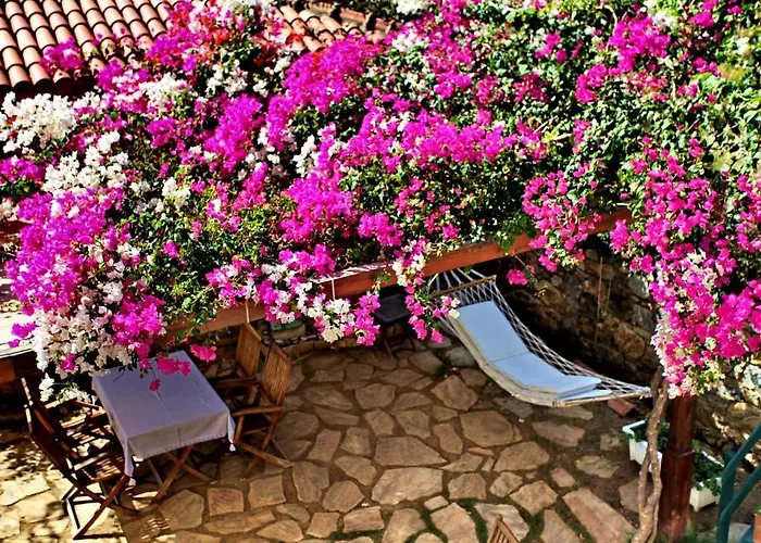 Ξενοδοχείο Tuerk Evi 4*