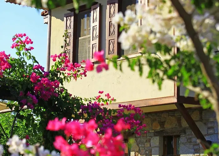 Ξενοδοχείο Tuerk Evi 4*