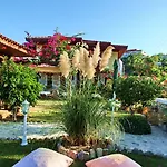 Tuerk Evi 4* 达特恰