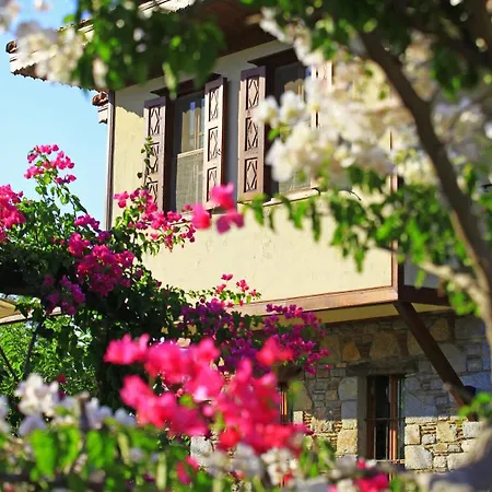 Hotel Tuerk Evi 4*
